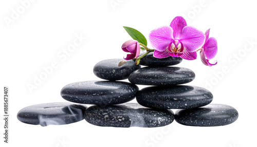 Serene stack of black stones with purple orchid on top, a symbol of tranquility and balance, captured in a still life image