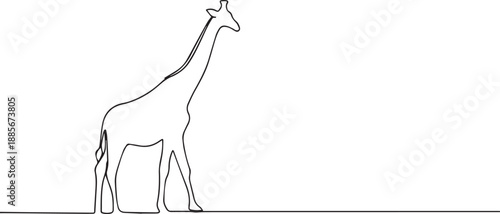 Giraffe one continuous line art, Vector illustration, One line art, Line art graphic style