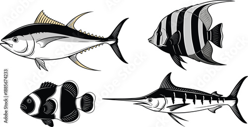 Collection of detailed fish illustrations including tuna, angelfish, clownfish and marlin, marine life graphic elements for ocean design, cad drawing flat vector illustration