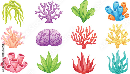 Colorful coral reef and sea plants icons set with marine underwater elements vector illustration