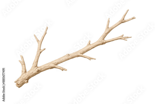 Dry tree branch with many smaller twigs, natural element for design layouts, isolated object with transparent background