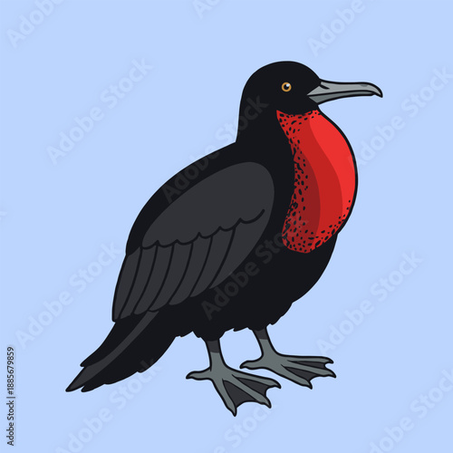 Cute Black Frigate Bird With Red Neck Pouch Flat Design Vector Illustration