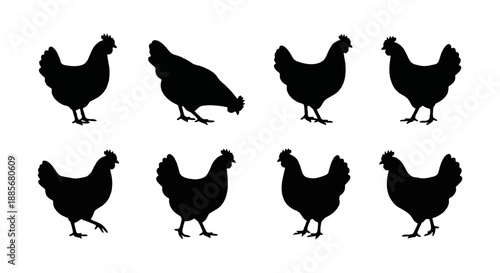 Collection of eight black silhouettes of chickens in various poses on a white background