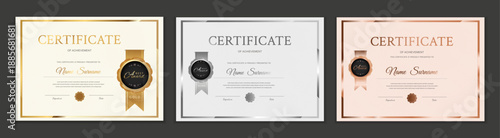 Three elegant achievement certificate templates: gold, silver, and bronze. Premium design with metal frames and badges. Editable vector for recognition and business.
