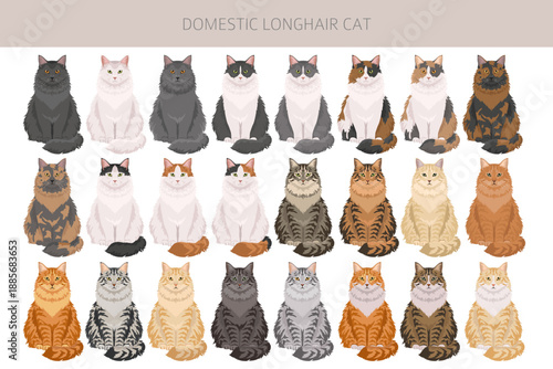 Domestic longhair Cat clipart. All coat colors set. Vector illustration