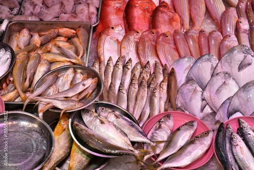 Photography Hong Kong Causeway Bay street market fish shop