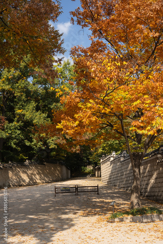 Autumn in Changdeokgung Palace in Seoul