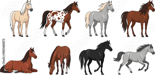 Horse character illustration set with different poses breeds farm animals wildlife vector design