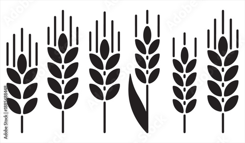 Agricultural cereal plant silhouette icon set