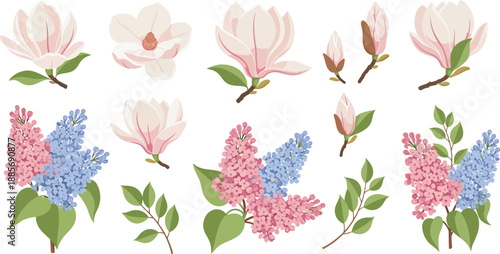 Pink and blue flowers with green leaves on white background in watercolor style floral illustrations