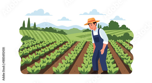 Vector illustration of a USA farmer inspecting crops in neat rows, reflecting careful crop management and sustainable agriculture in a modern rural flat vector scene