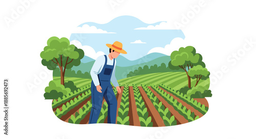 Vector illustration of a USA farmer inspecting crops in neat rows, reflecting careful crop management and sustainable agriculture in a modern rural flat vector scene