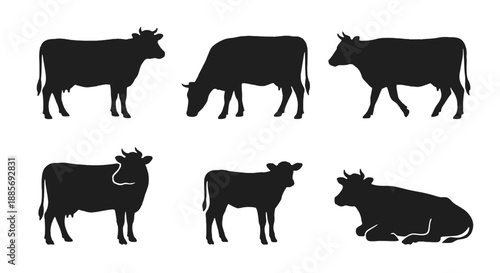 Assortment of domestic cattle silhouettes, featuring adult cows and a calf in various natural positions, suitable for agricultural illustrations and livestock-themed projects