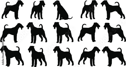 Black Terrier Dog Silhouettes Set with Airedale and Fox Terrier Profiles Standing and Sitting Isolated on White Background for Pet Wildlife Vector Design