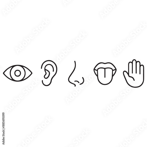 Five human senses vector illustration