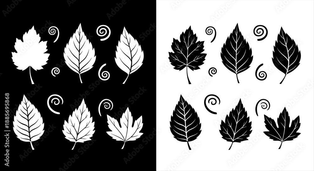 Obraz premium Artistic Monochrome Leaf Graphics Diverse Botanical Silhouettes with Swirl Accents