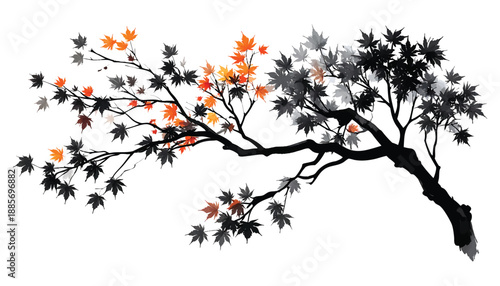 Stylized Tree Branch with a Gradient of Black to Orange watercolor illutrastion transparent background