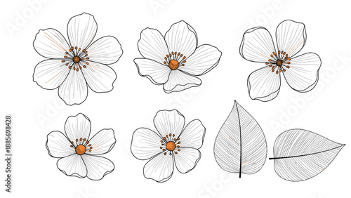 Set of simple flower blossoms with orange centers and separate leaves in a minimalist black and white line art style.