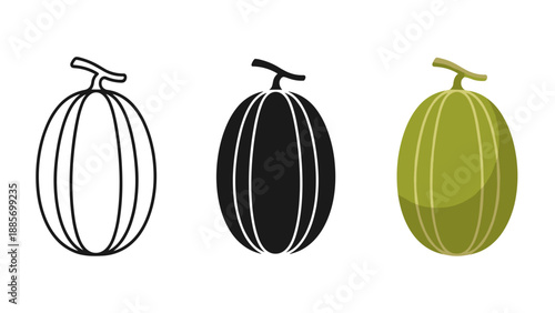 Three melons in different styles outline black and colored on white background varying shading