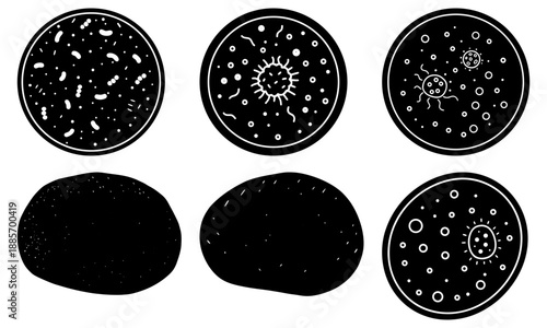 Black and white illustration set of six celestial bodies with detailed textures