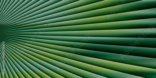 Palm leaf stripped and textured pattern background,natural lush foliages of leaves tropical texture wallpaper.