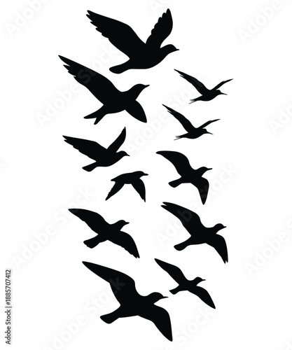Flying Bird Silhouette Flock Vector Isolated on White Background.