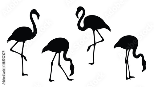 Four flamingos stand gracefully in a minimalist black silhouette