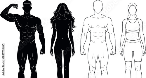 Male and female human body anatomy silhouettes and outlines showing muscular fitness proportions isolated on white background for health anatomy illustration design