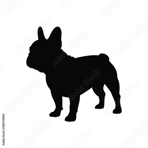 A striking silhouette of a french bulldog standing in profile view
