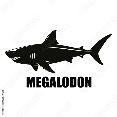 Silhouette of a great white shark with the word megalodon beneath it
