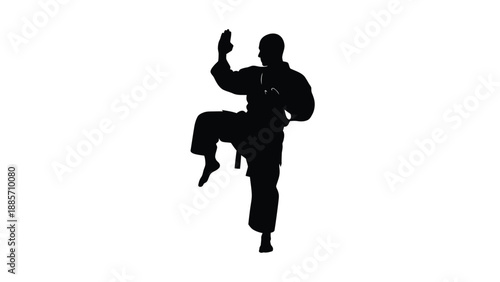Silhouette of a person in a martial arts uniform kicking with one leg raised high on white background