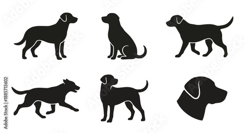 Set of six black silhouettes of dogs in various poses, showcasing different breeds and activities