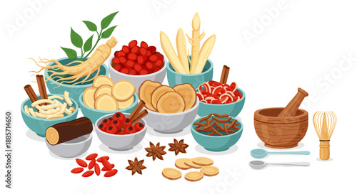 Traditional Chinese Medicine ingredients vector illustration with assorted herbs and spices in bowls