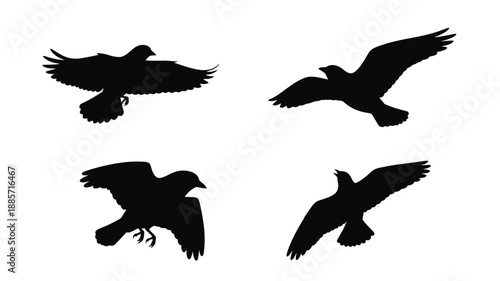 Four black bird shapes in flight a dramatic visual silhouette