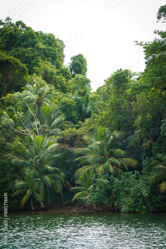 Paisaje tropical del Parque Nacional Los Haitises en Samaná