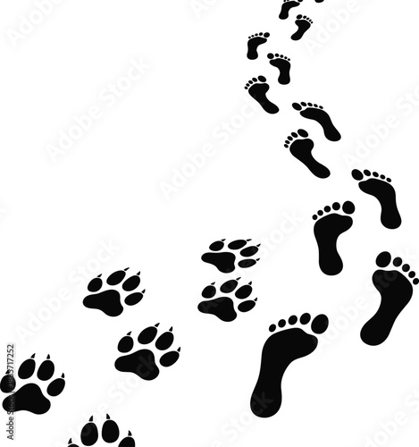 Human and animal footprints silhouette vector illustration showing walking path, paw prints and footsteps trail concept on white background, minimalism journey direction