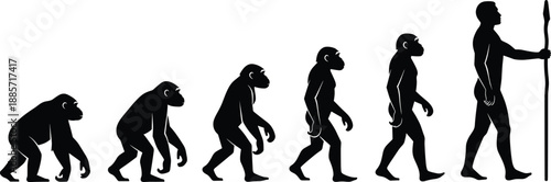 Human evolution stages vector illustration, ape to modern man progression, evolutionary development concept, anthropology design, prehistoric transformation silhouette, scientific growth concept