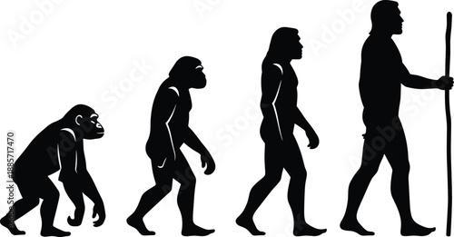 Human evolution stages vector illustration, development of mankind from ape to modern man, science education concept, anthropology history silhouette design