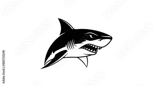 Aggressive Black and White Shark Illustration with Bared Teeth and Menacing Eyes