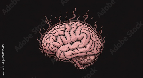 3d rendered illustration of human brain