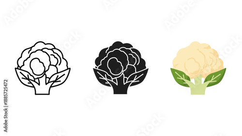 Three cauliflower illustrations in different styles and colors on white background