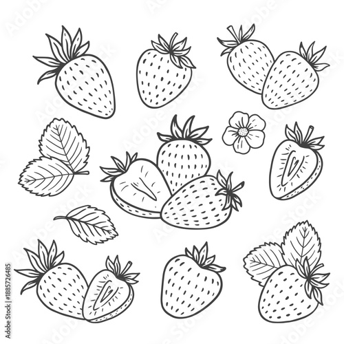 set of strawberry isolated on white background. Sketch of strawberry. Berry for menu, label, recipe, farm product packaging. Vector illustration