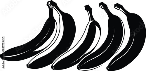 Black and white banana bunch vector illustration, tropical fruit design for healthy food concept, kitchen decor, organic nutrition and natural product artwork