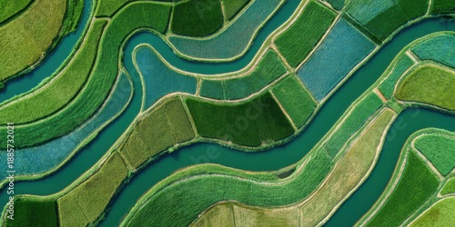 Bild auf Leinwand Aerial View of Lush Green Rice Terraces and Winding Rivers in a Vibrant Agricultural Landscape
