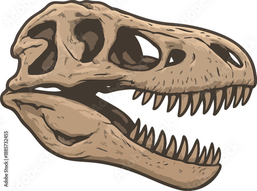 skull of a dinosaur 