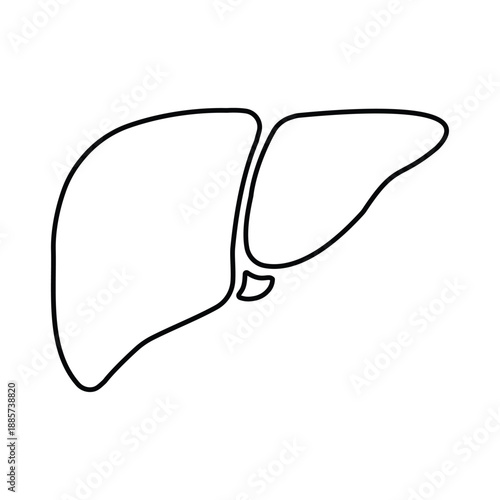 Human Liver Anatomy Vector Outline. Black Line Art Internal Organ Icon Isolated on White Background. Simple Medical Sketch Symbol for Biology Education, Coloring Book and Hepatology Clinic Design.