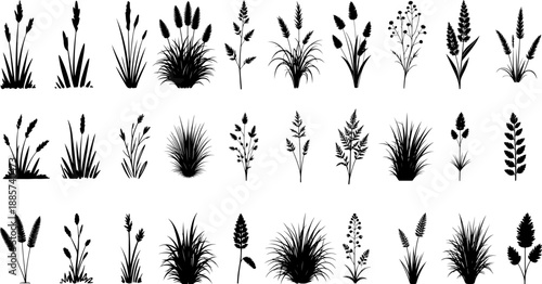 Seamless nature illustration set featuring silhouettes of grass and wheat ears with vintage floral leaf patterns for decorative vector wallpaper design