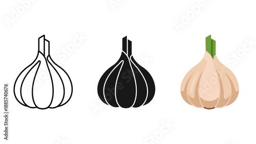 Three garlic bulbs in different styles line art silhouette and realistic illustration on white