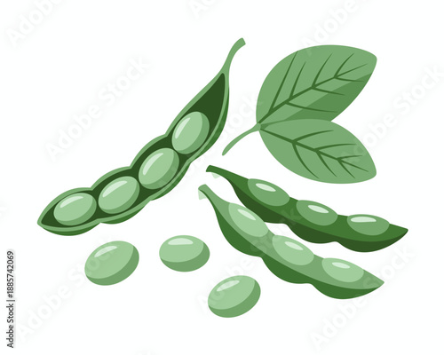 Green Peas Illustration Fresh Vegetables Healthy Food