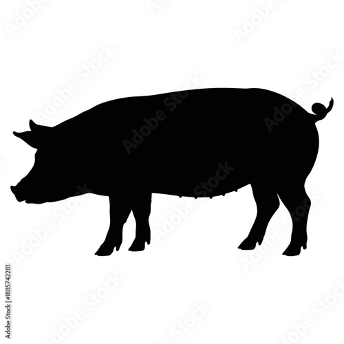 black Pig icon Silhouette vector on white background